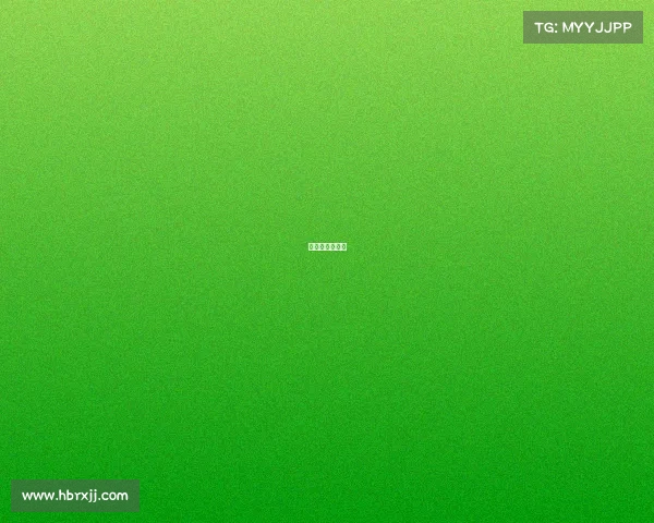 全运会比赛进程